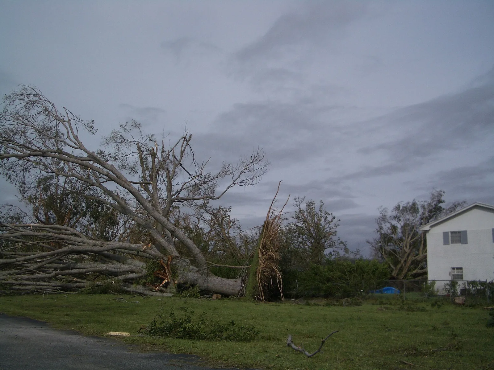 Trees toppled by Hurricane Wilma beside a house in Coral Springs