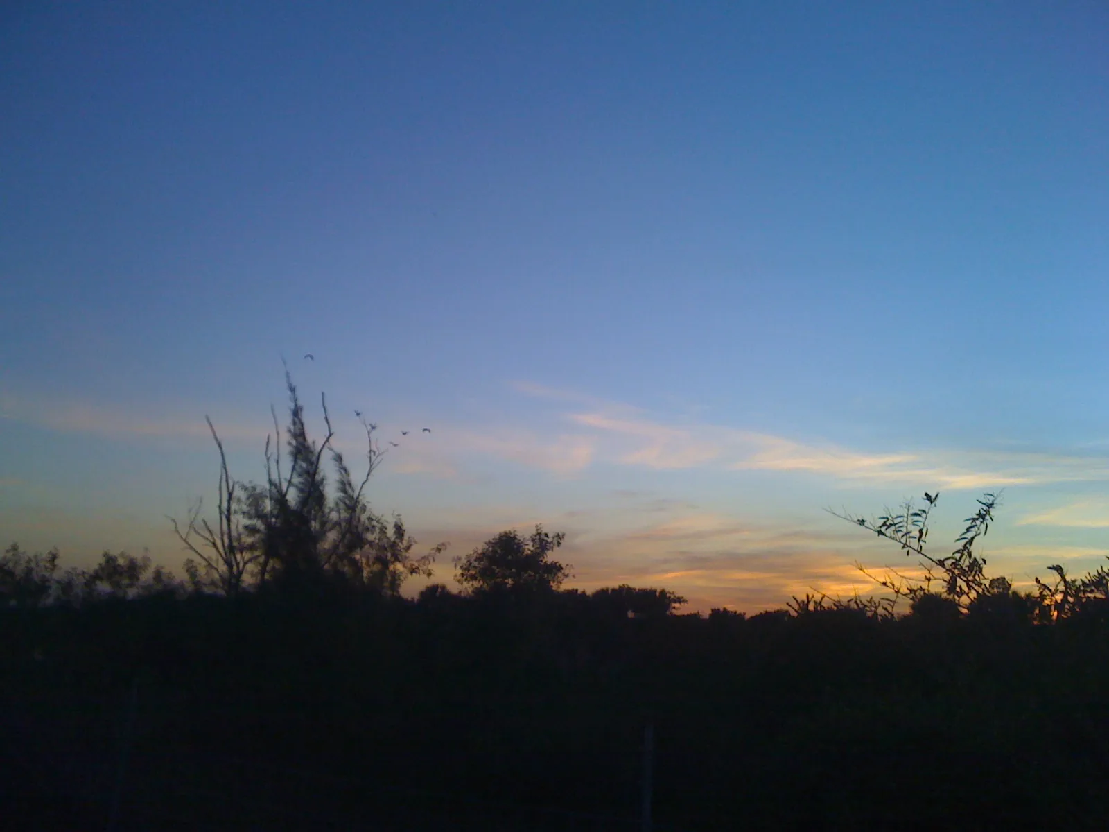 Dusk over the Lakeview Square area in the south of Coral Springs.